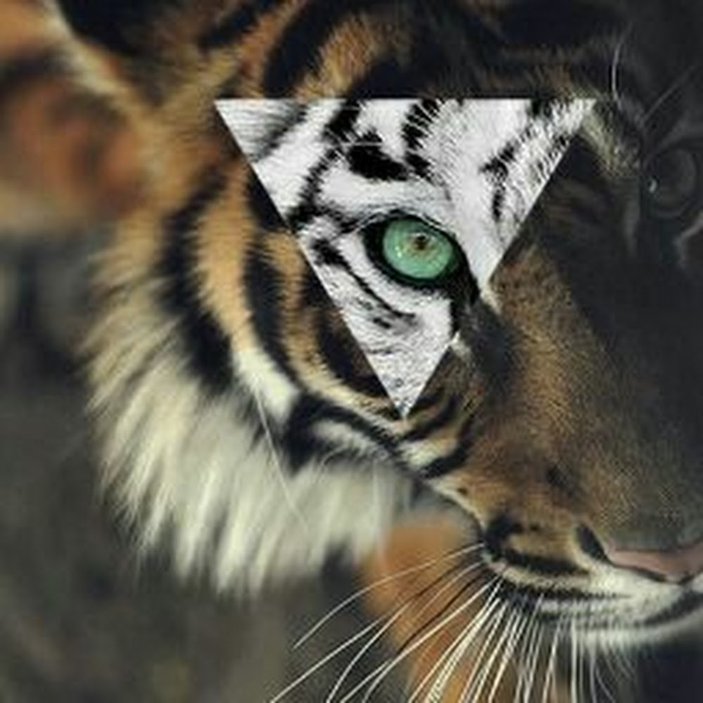 Meet your Posher, Progressinthesoundz